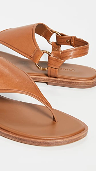 Shop Vince Pharis Sandals In Hazelnut