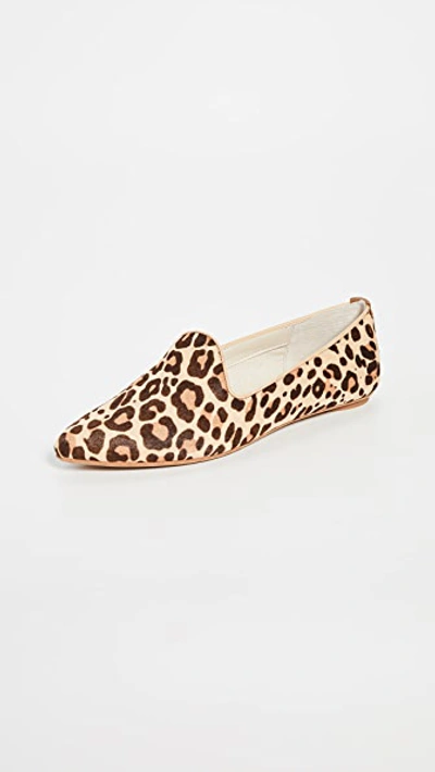 Shop Dolce Vita Gail Loafers In Dark Leopard