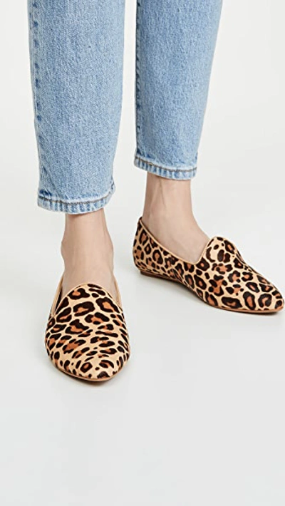 Shop Dolce Vita Gail Loafers In Dark Leopard