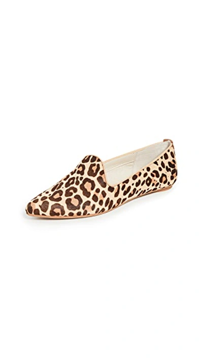 Shop Dolce Vita Gail Loafers In Dark Leopard