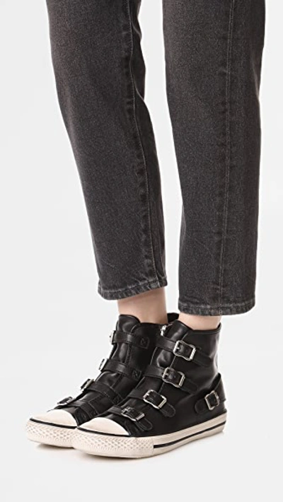 Shop Ash Virgin Buckled High Top Sneakers In Black