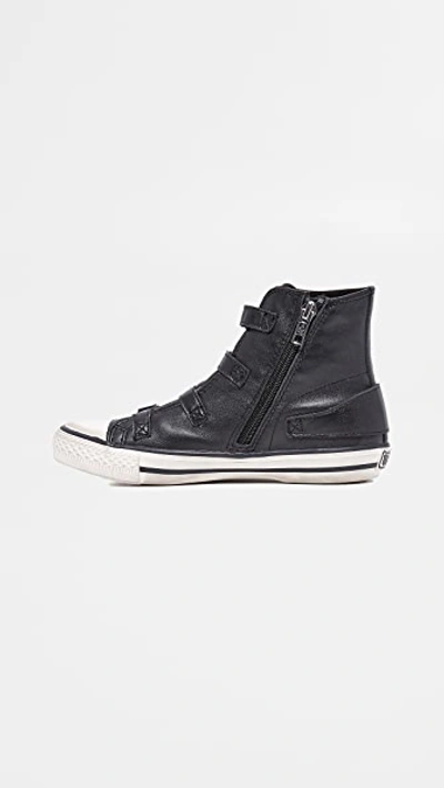 Shop Ash Virgin Buckled High Top Sneakers In Black