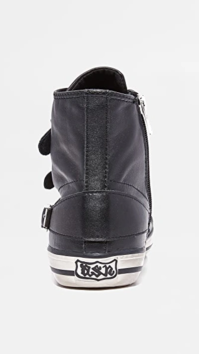 Shop Ash Virgin Buckled High Top Sneakers In Black