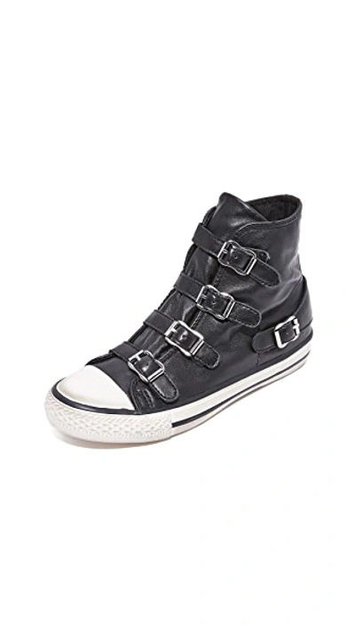 Shop Ash Virgin Buckled High Top Sneakers In Black