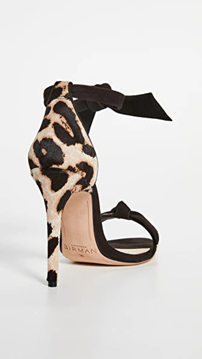 Shop Alexandre Birman Clarita Pony Sandals In Natural/testa Di Moro