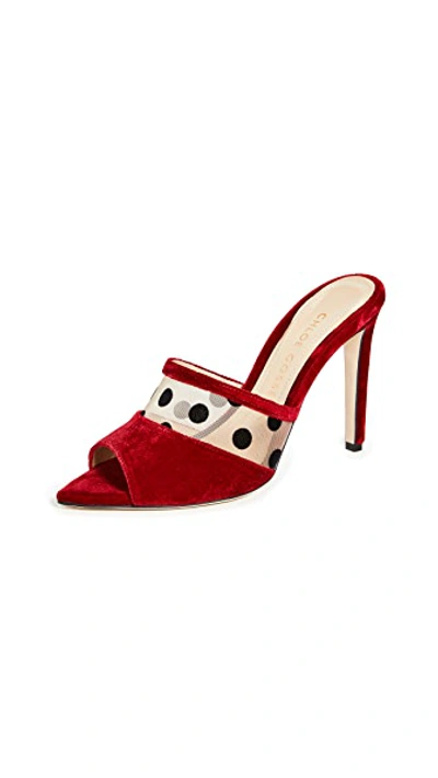 Shop Chloe Gosselin Liz Mules In Dark Red/tan