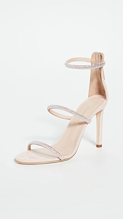 Shop Giuseppe Zanotti Basic Sandals 105mm In Kanda/rosa