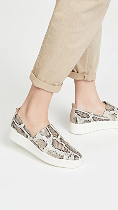Vince Saxon2 Snake-print Leather Slip-on Sneakers In Taupe