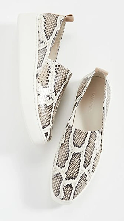 Vince Saxon2 Snake-print Leather Slip-on Sneakers In Taupe