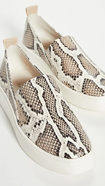 Vince Saxon2 Snake-print Leather Slip-on Sneakers In Taupe