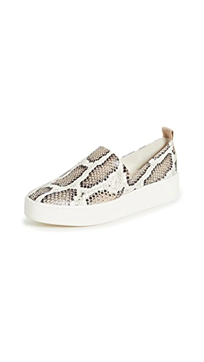 Vince Saxon2 Snake-print Leather Slip-on Sneakers In Taupe Snake | ModeSens