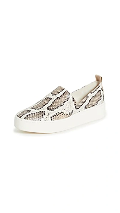 Vince Saxon2 Snake-print Leather Slip-on Sneakers In Taupe