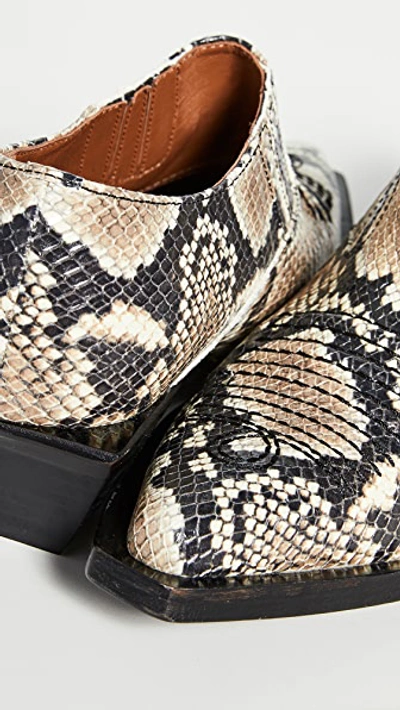 Shop Rejina Pyo Dolores Brogue Booties In Snake