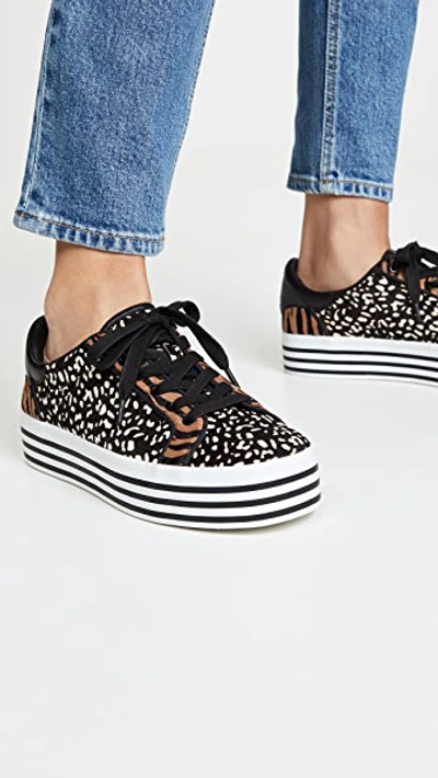 Shop Alice And Olivia Falyn Sneakers In Black/white