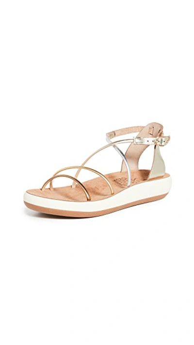 Shop Ancient Greek Sandals Anastasia Comfort Sandals In Metallic Mix