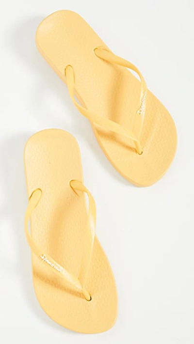 Shop Ipanema Ana Colors Flip Flops In Yellow/yellow