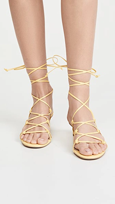 Shop Villa Rouge Cashmere Sandals In Lemon Drop