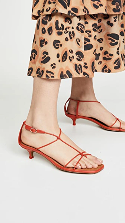 Shop Zimmermann Strappy Kitten Heel Sandals In Tomato