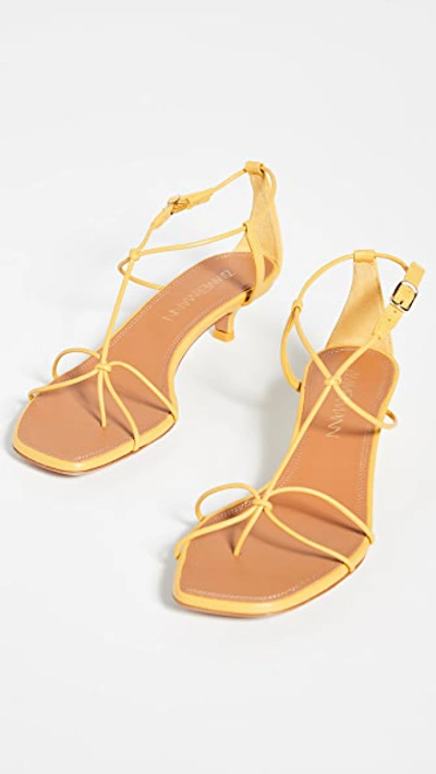 Shop Zimmermann Strappy Kitten Heel Sandals In Daffodil Yellow