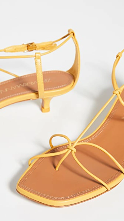 Shop Zimmermann Strappy Kitten Heel Sandals In Daffodil Yellow