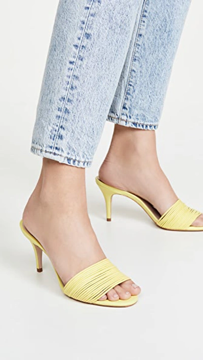 Shop Schutz Haila Mules In Lemon