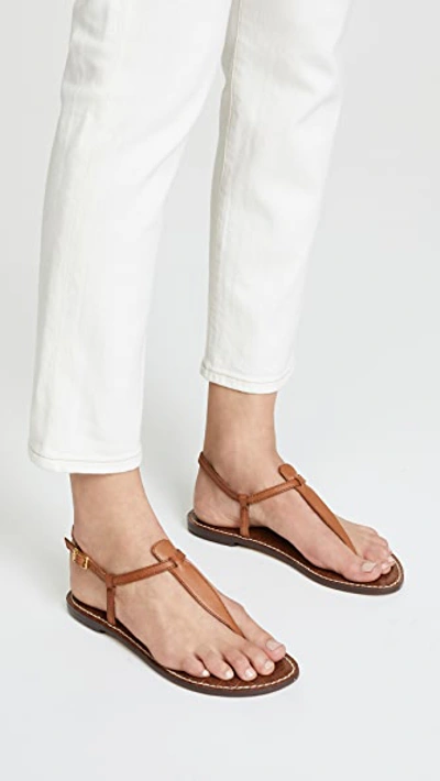 Shop Sam Edelman Gigi Flat Sandals In Saddle