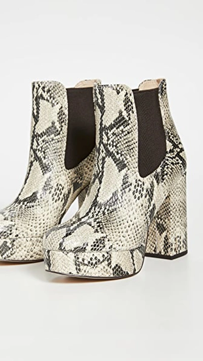 Shop Sam Edelman Abella Booties In Black/nude