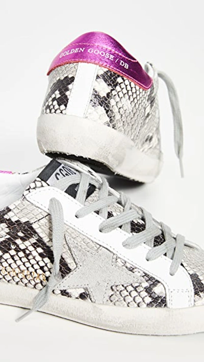 Shop Golden Goose Superstar Sneakers In Natural Snake