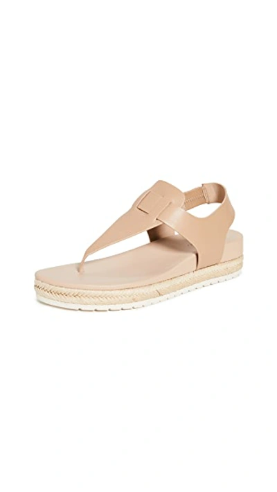 Shop Vince Flint Espadrilles In Cappuccino