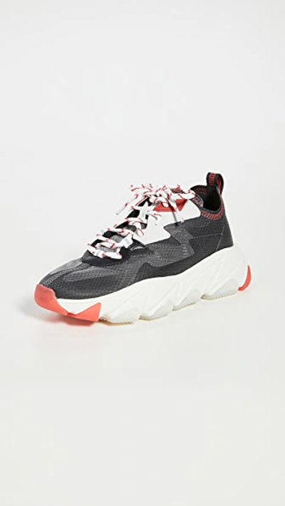 Shop Ash Eclipse Sneakers In Fog/black/softpearl/black