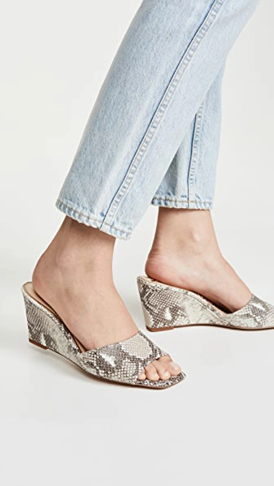 Sam Edelman Tesma Snakeskin embossed Leather Wedge Mules In Snake