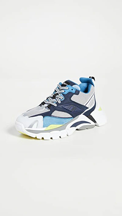 Shop Ash Flex Sneakers In Grey/blue/multi