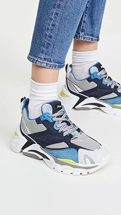 Shop Ash Flex Sneakers In Grey/blue/multi