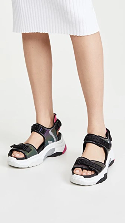 Shop Ash Adapt Sandals In Black