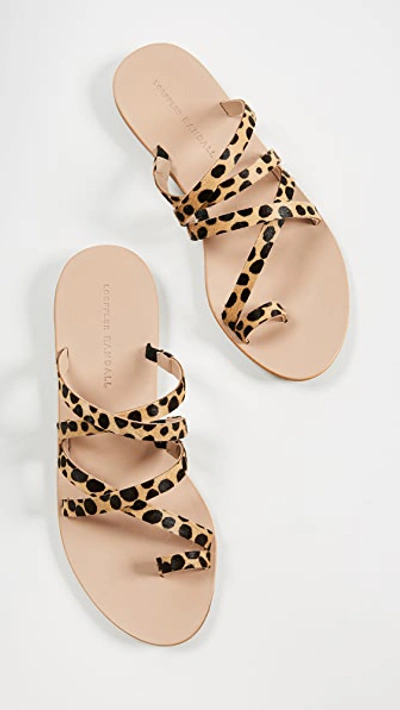 Shop Loeffler Randall Sarie Sandals In Cheetah