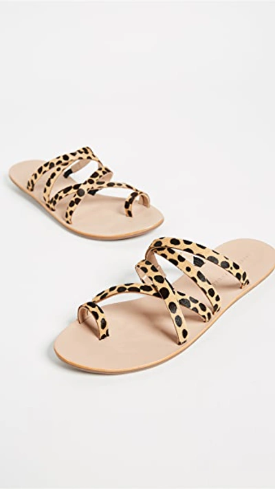 Shop Loeffler Randall Sarie Sandals In Cheetah