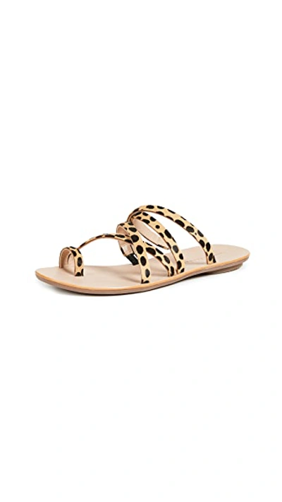 Shop Loeffler Randall Sarie Sandals In Cheetah