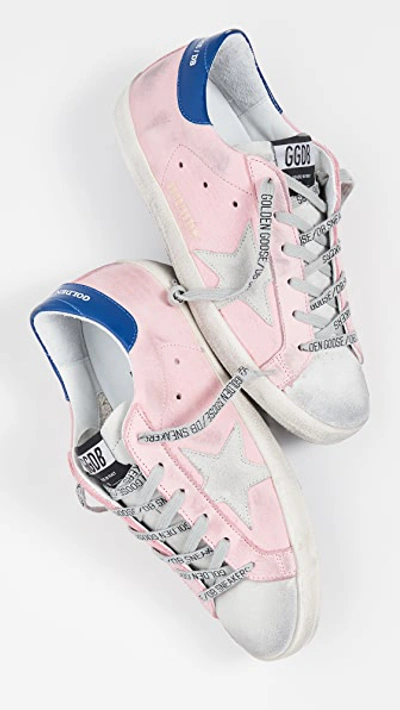 Shop Golden Goose Superstar Sneakers In Pink/ice