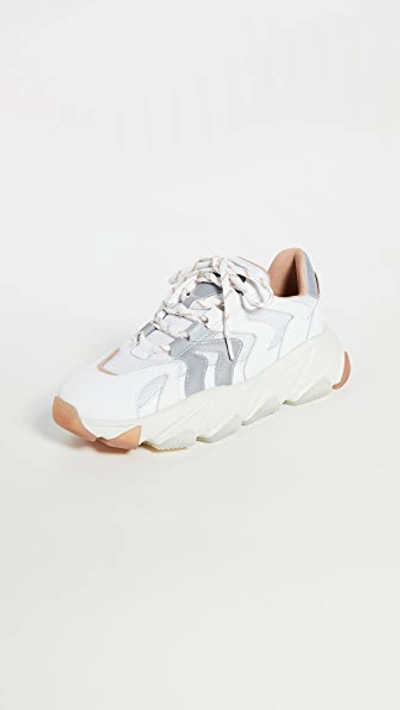 Shop Ash Extreme Sneakers In White/silver/dune