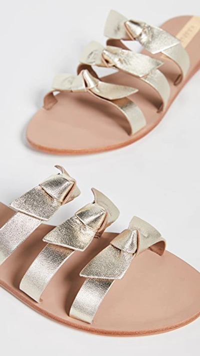 Shop Kaanas Recife Bow Sandals In Gold