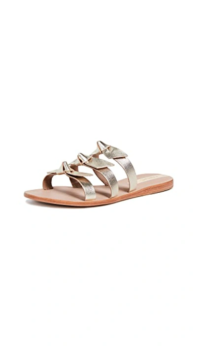 Shop Kaanas Recife Bow Sandals In Gold