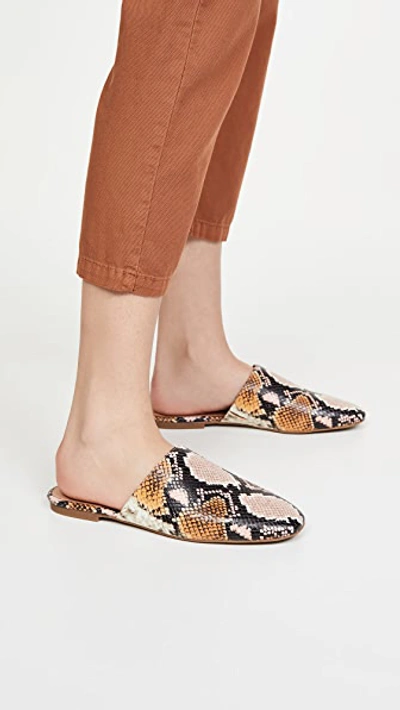 Shop Madewell Carter Round Toe Mules In Forgotten Petal Multi