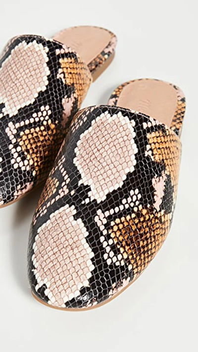Shop Madewell Carter Round Toe Mules In Forgotten Petal Multi