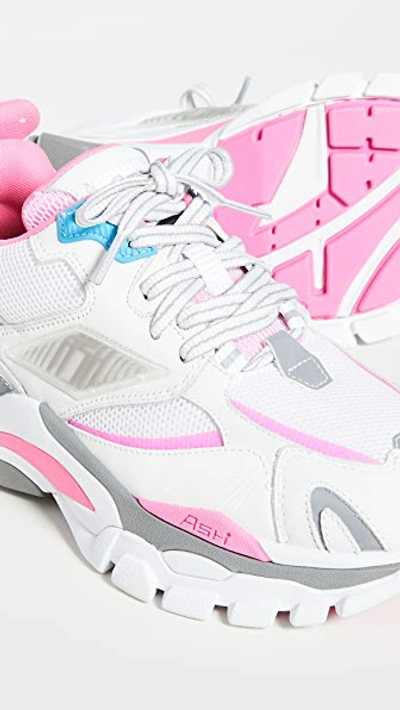 Shop Ash Flex Sneakers In White/deep Pink