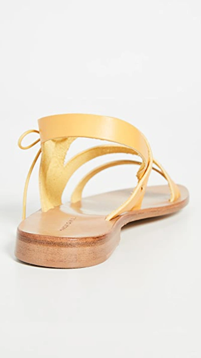 Shop Mansur Gavriel Tie Sandals In Yellow