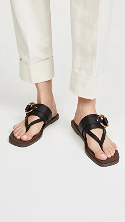 Shop Stella Mccartney Thong Sandals In Black