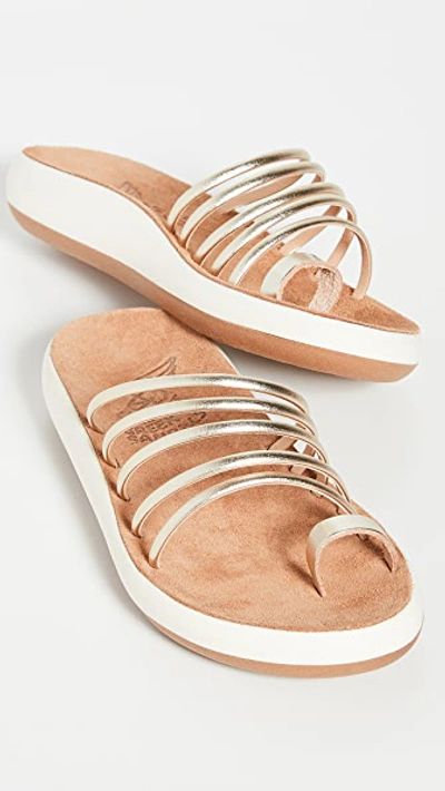 Shop Ancient Greek Sandals Hypatia Comfort Sandals In Platinum