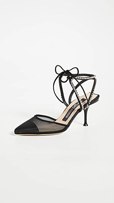 Shop Sergio Rossi Sr Milano Pumps In Nero