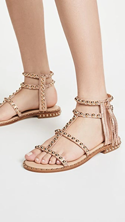 Shop Ash Power Sandals In Metal Rame