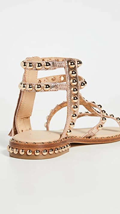 Shop Ash Power Sandals In Metal Rame